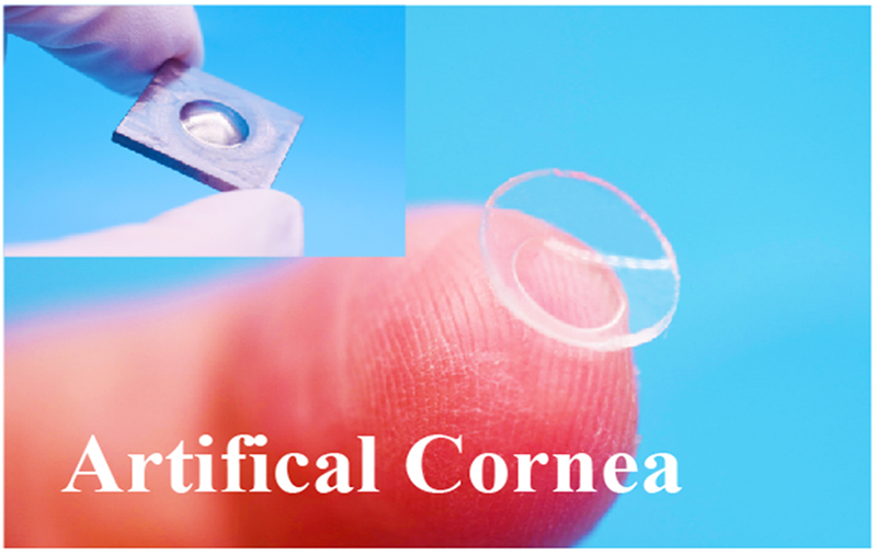 聚焦高端生物組織功能膜科研轉化，博創(chuàng  )生物喜獲天使+輪融資